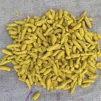 Small Turmeric Finger