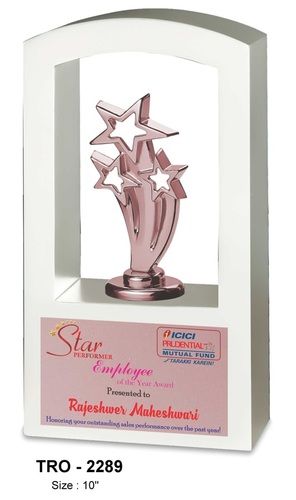 Star Cast Wooden Trophy