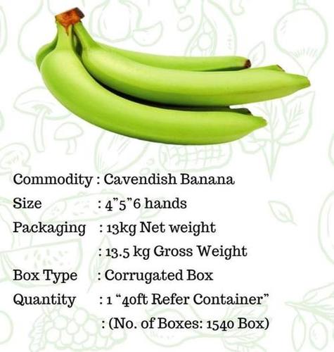 Cavendish banana By KHALFE DEVELOPERS PRIVATE LIMITED