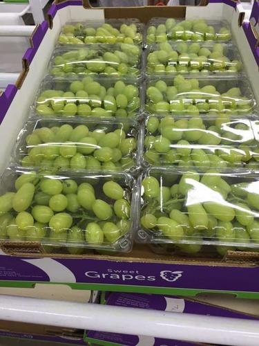 Green grapes By KHALFE DEVELOPERS PRIVATE LIMITED