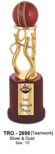 Cricket Teamwork Trophy