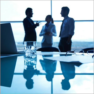 Corporate Advisory