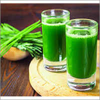 Wheatgrass Juice