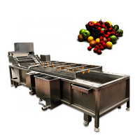 Automatic Jujube Washing Cleaning Machine