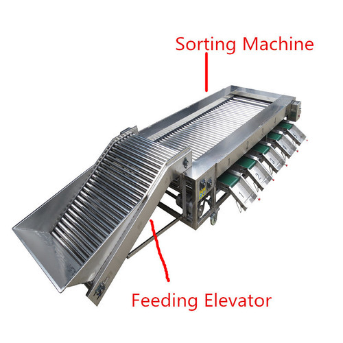 Automatic Fruit Jujube Sorting Grading Machine By ZHAOQING YEDDA TRADE CO.,LTD