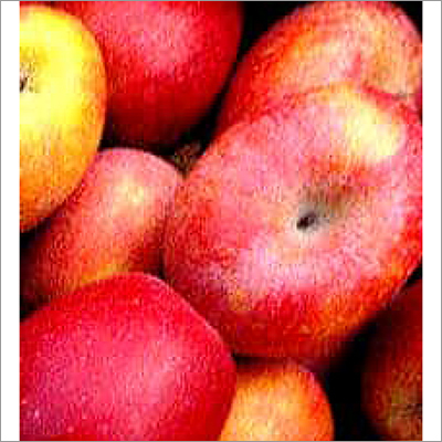 Common Fresh Red Gold Apple