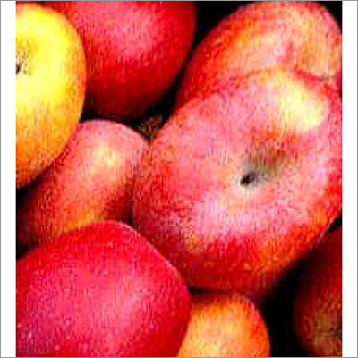 Fresh Red Gold Apple