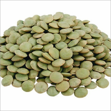 Green Lentil