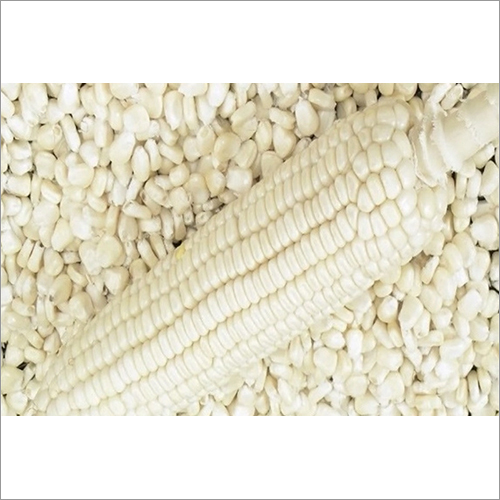 White Maize