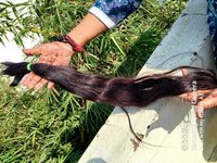 TEMPLE FRESH UNPROCESSED HUMAN VIRGIN INDIAN BULK HUMAN HAIR