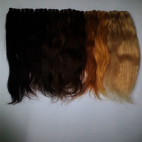 Best Quality Remy Colored Hair Extensions