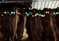 Best Quality Remy Colored Hair Extensions