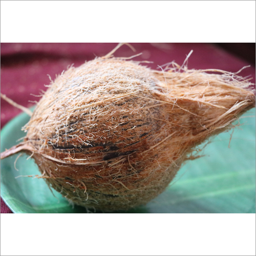 Fresh Coconut