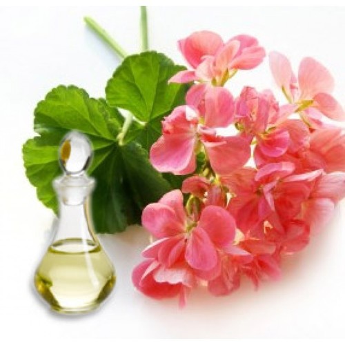 Geranium Oil