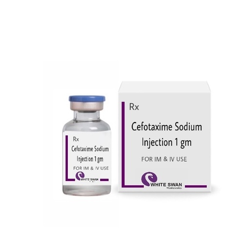 Powder Cefotaxime Sodium Injection