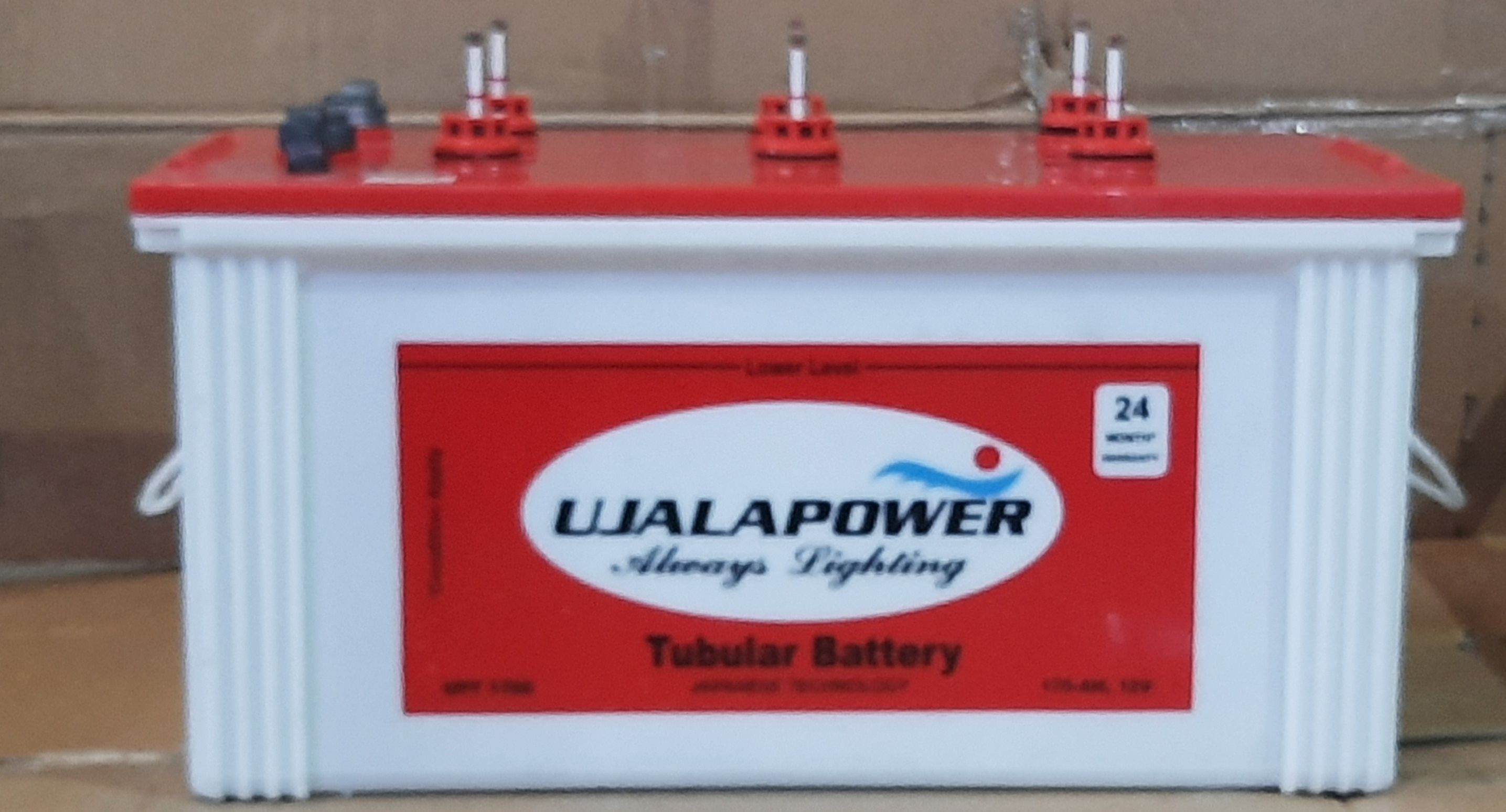 Inverter Batteries