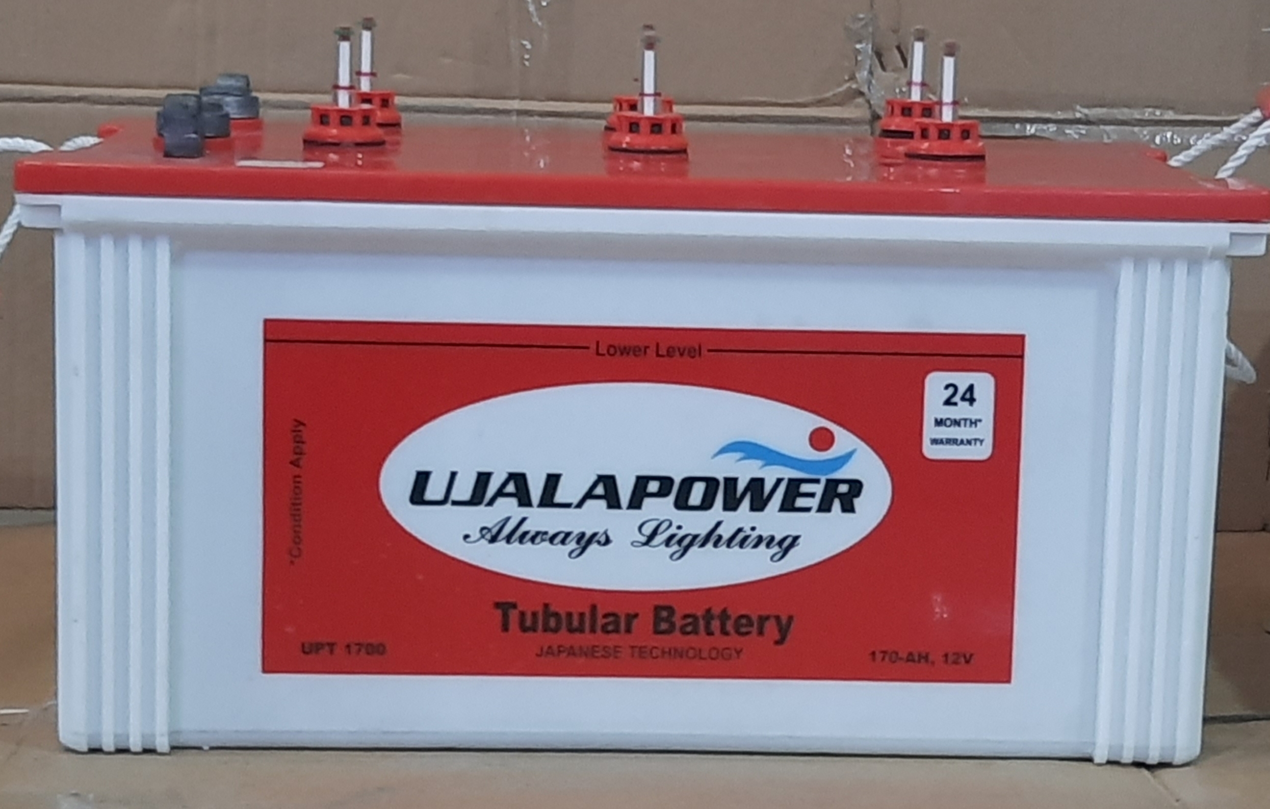 Inverter Batteries