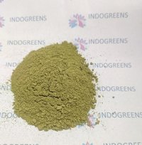 Graviola Leaves Powder