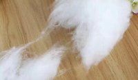 1.2d 1.4d 1.5d  2.5d Polyester Staple Fiber Cationic Fiber