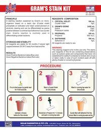 Gram Stain Kit