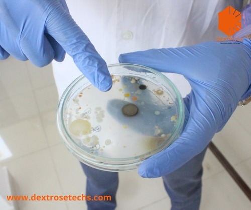 Microbial Antibacterial Activity Testing Services