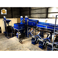 Automatic Cashew Processing Machine