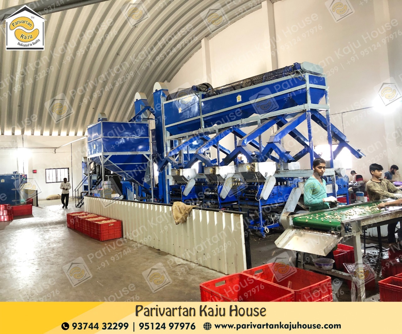 Automatic Cashew Nut Processing Machine