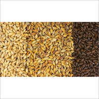 Malt Flour - Brown Powder, Bulk Packaging | High In Fiber, Vitamins And Folate, 12-month Shelf Life, Lowers Cholesterol And Insulin Levels