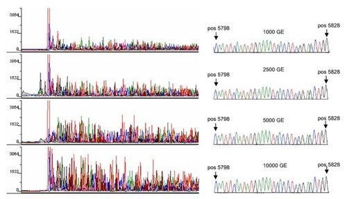 Fungal Genome Sequencing, De Novo Assembly And Annotation-illumina