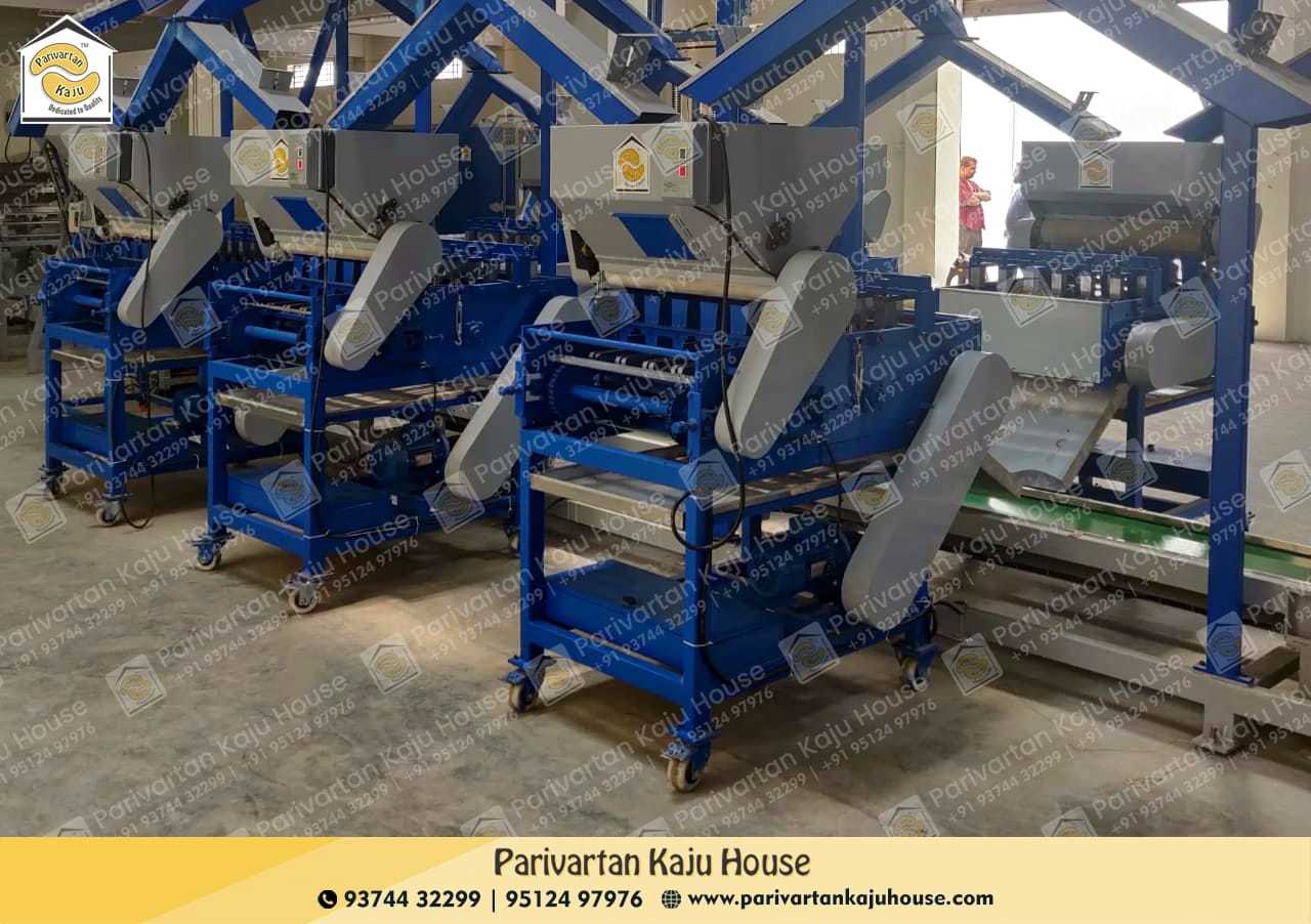 Automatic Raw Cashew Cutter