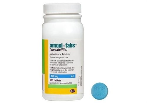 Amoxicillin Tablets