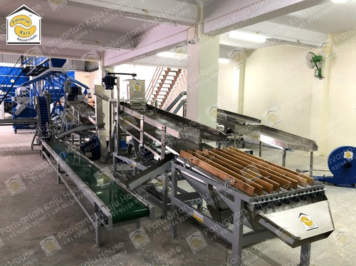 Automatic Cashew Scooping Line - Mild Steel / Stainless Steel, 13.8 ft x 3.0 ft x 4.5 ft, 600-650kg/hr Capacity, 85% Accuracy, Electric Power Source, 1.5 HP Motor