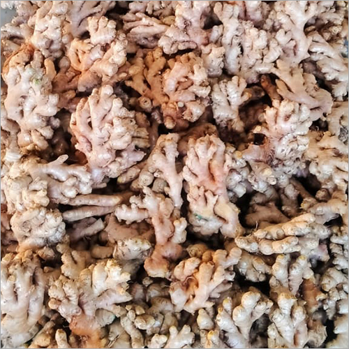 Dry Ginger