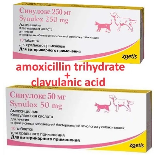 Amoxicillin Trihydrate and Clavulanic Acid Tablets