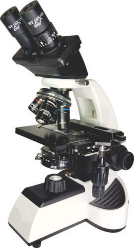 Compound Microscope