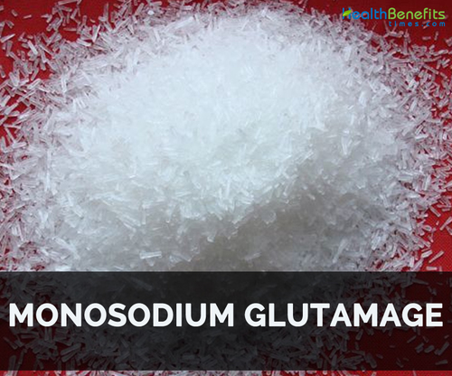 Monosodium Glutamate By TRIANGULUM CHEMICALS PRIVATE LIMITED
