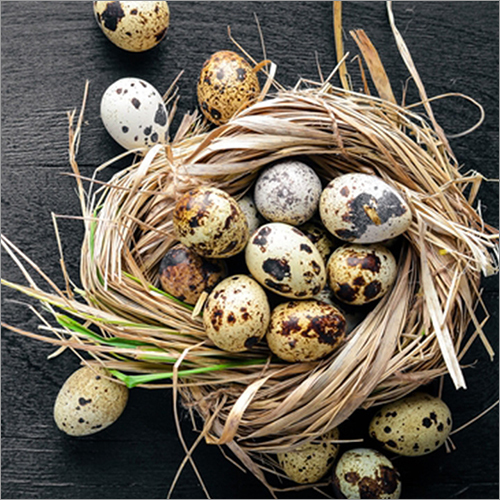 Hen Eggs