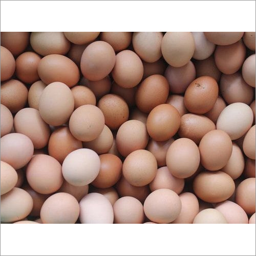 Desi Eggs