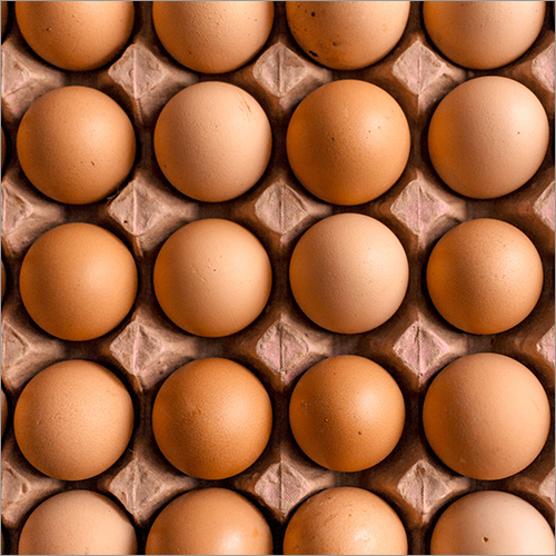 Brown Eggs By AROGYA LAXMI HATCHERIES AND BREEDERS