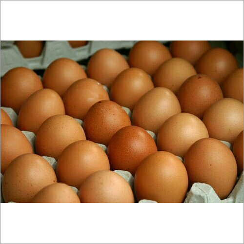 Aseel Eggs