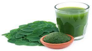 Moringa Juice