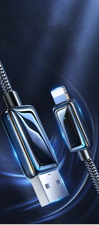 Back-Brainers Love Lighting cable for iphone,ipad