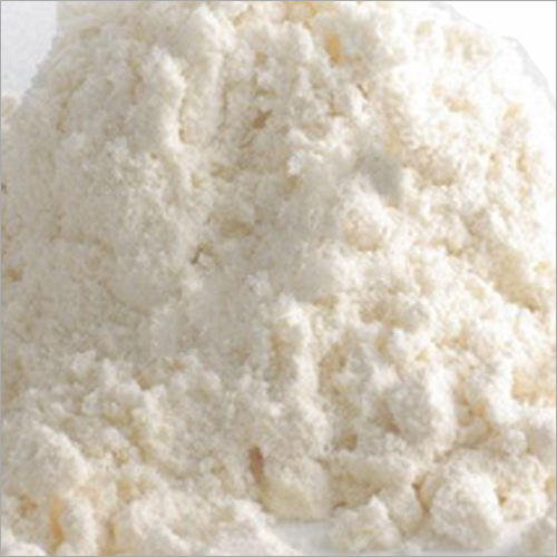 Ampicillin Powder