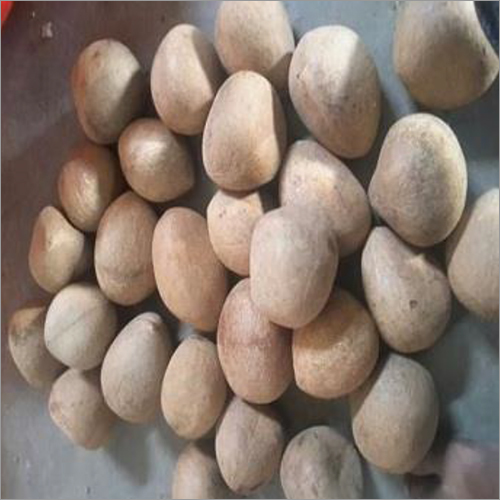 Copra Coconut