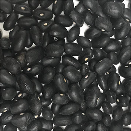Black Kidney Beans By IZZLN ENTERPRISE