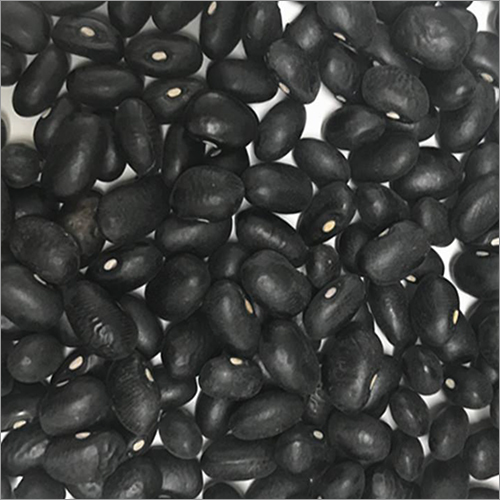 Black Kidney Beans
