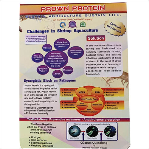Prown Protein