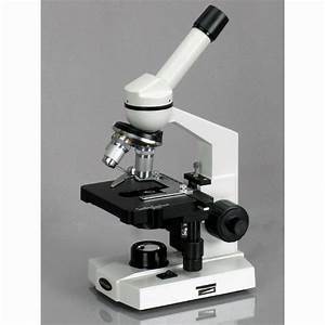 Stero Microscope