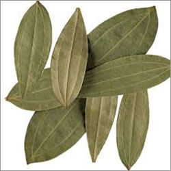 Green Bay Leaf