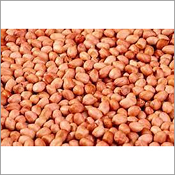 Organic Peanuts - Grade A Natural Size | Premium Quality, Sustainably Sourced, Nutrient-Rich
